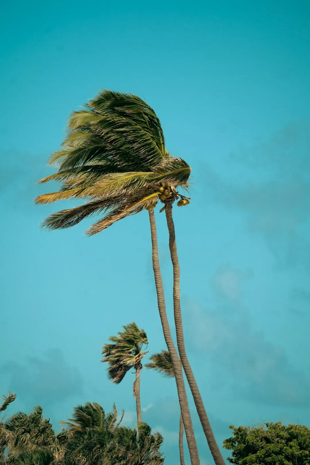 The Atlantic Hurricane Season and the Pacific Storm Shift (Image Credits: Unsplash)