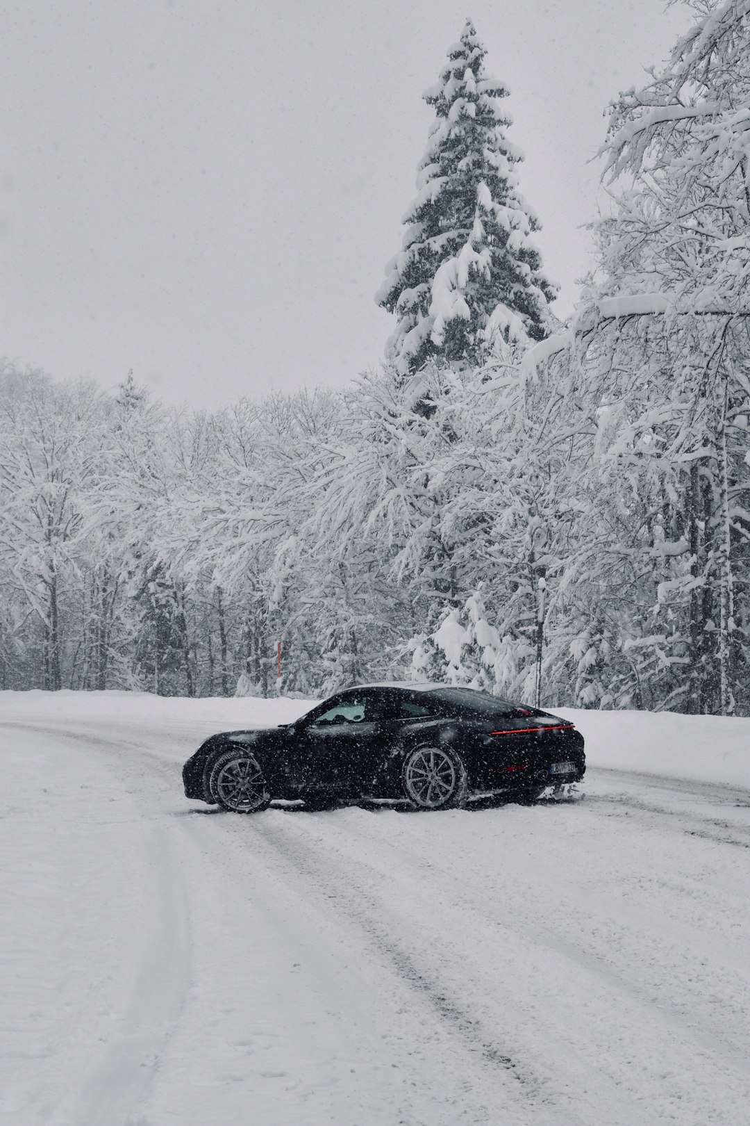 Staying Safe While Stranded (image credits: unsplash)