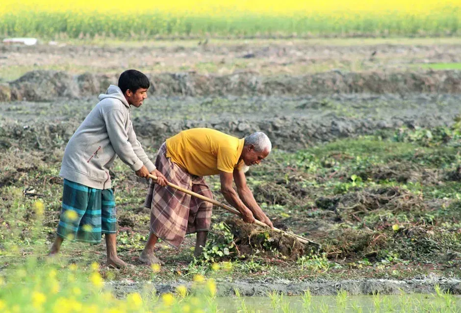 The Bigger Picture: Old Wisdom in a Modern World (Image Credits: Pexels)