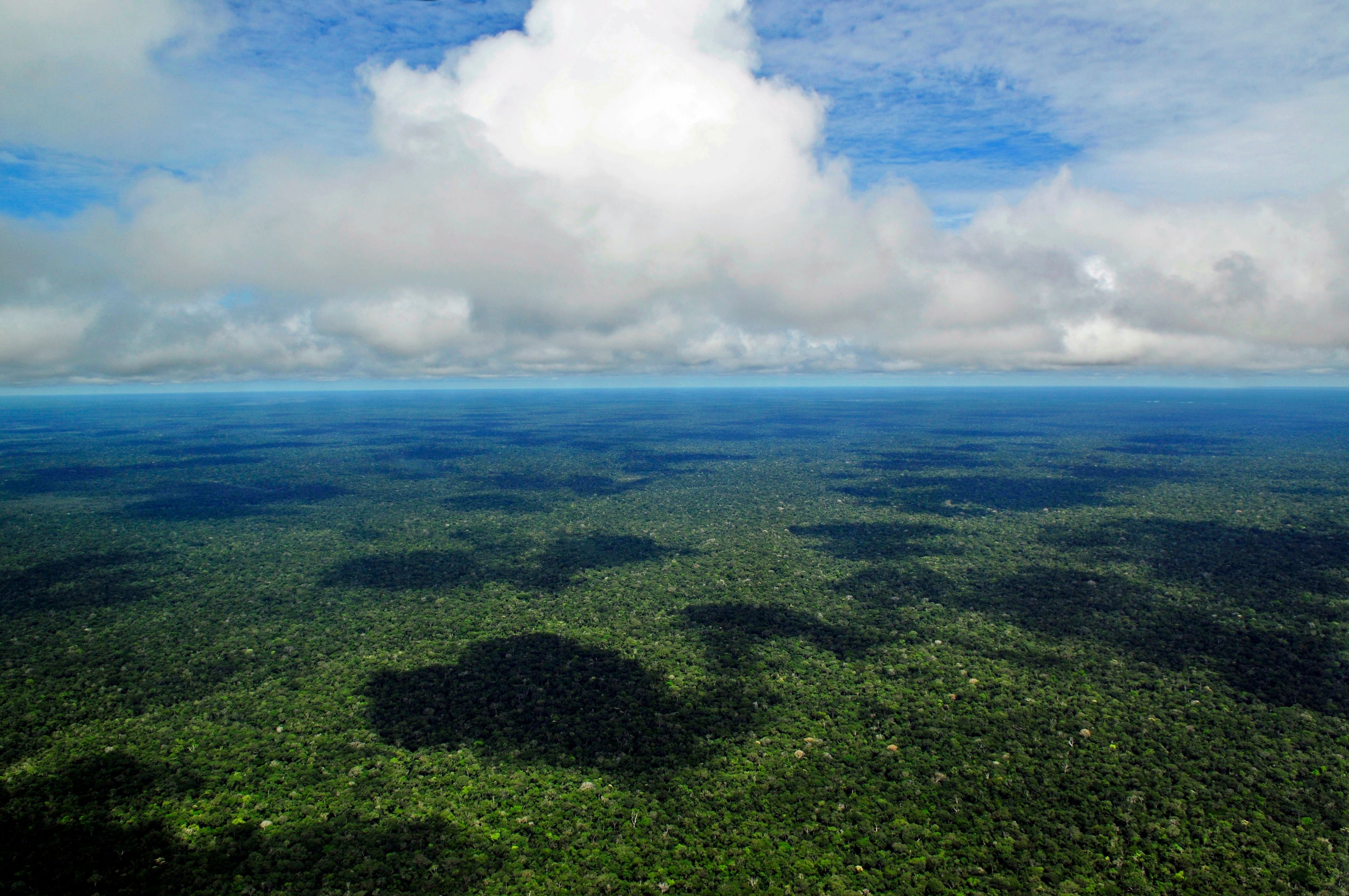 Scientists Discover the Amazon's Hidden Cloud Factory (image credits: wikimedia)