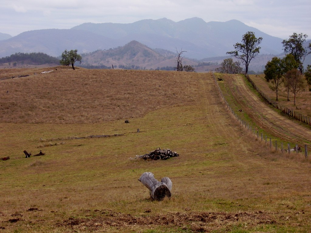 The Hidden Cost: Food, Jobs, and the Economy (image credits: flickr)
