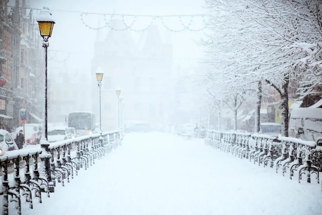 6. Blizzards and severe winter storms (Image Credits: Unsplash)