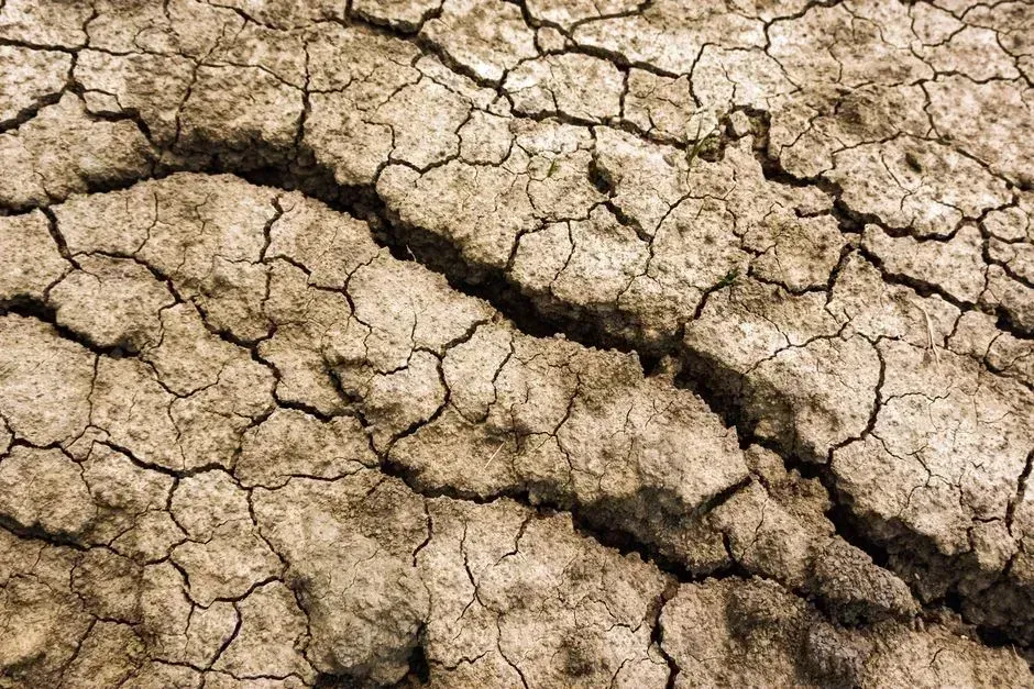 India's Reservoirs: A Widening Gap Across the Subcontinent (Image Credits: Pexels)