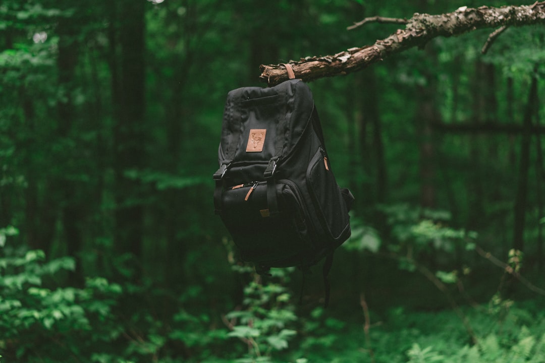 The Massive Energy Cost of Reusable Bag Production (image credits: unsplash)