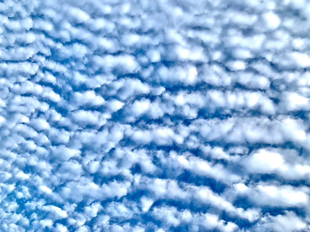 Popcorn Clouds Reveal the Forest's Daily Rhythm (image credits: unsplash)