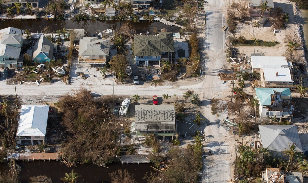 Economic Impact: Counting the Cost of Inaction (image credits: rawpixel)