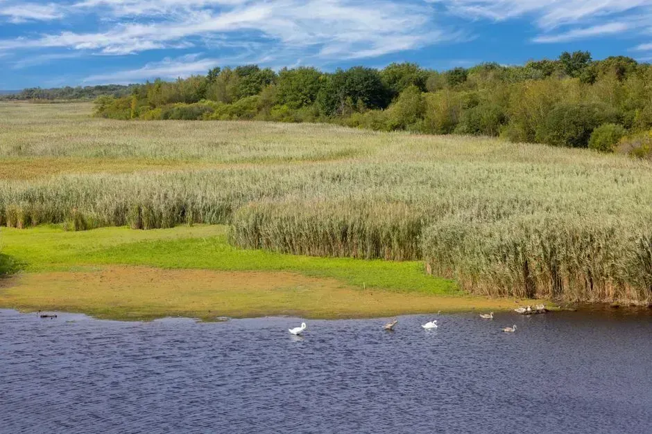 10. Massachusetts Coastal Communities: Statewide Priority Restoration Projects (Image Credits: Pexels)