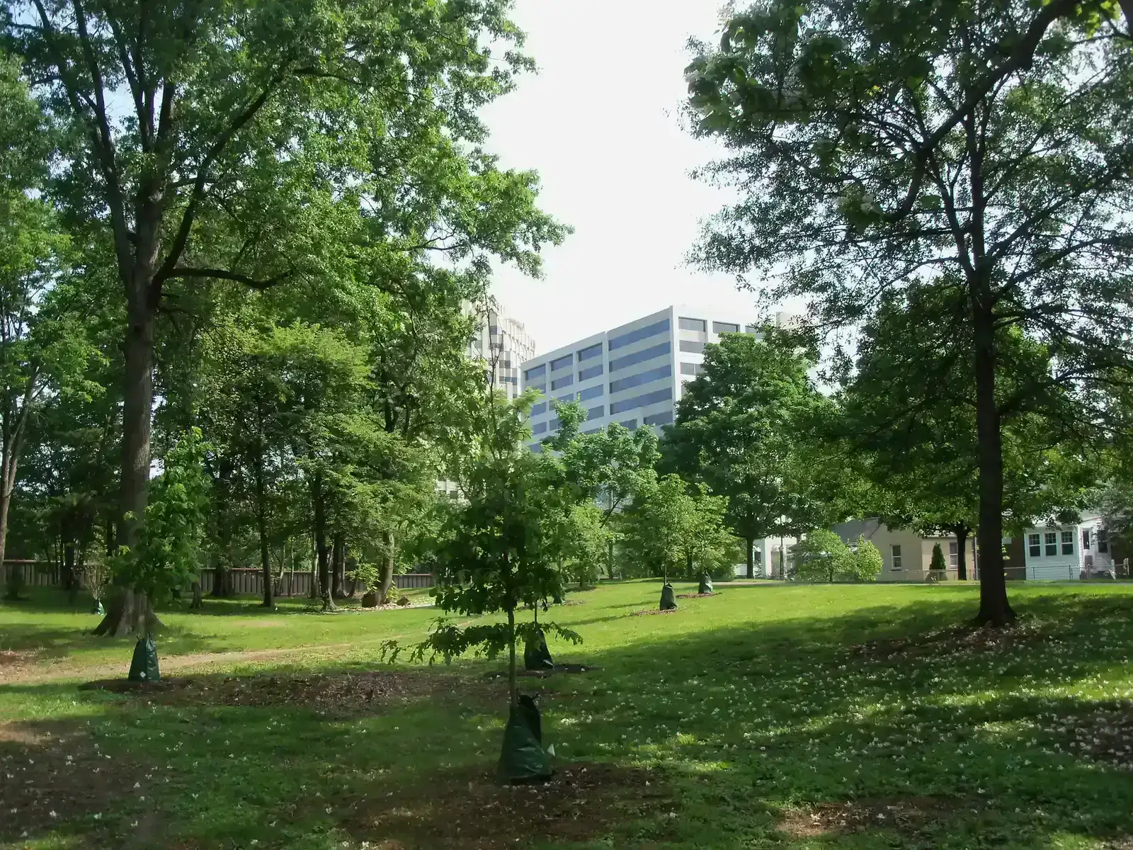 6. Bluemont, Virginia - The Mountain That Became a Government Shelter (Image Credits: Wikimedia)