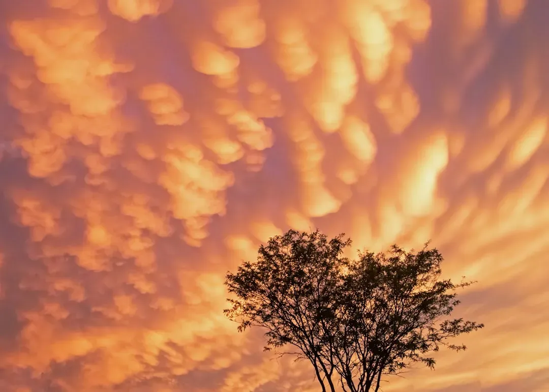 Mammatus Clouds Hanging Below a Storm (Image Credits: Unsplash)