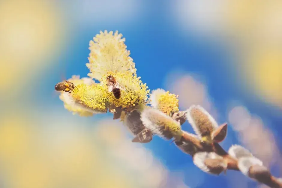 3. Allergy Season Is Getting Longer and More Miserable (Image Credits: Pexels)