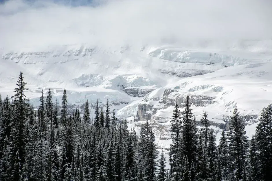 2. Northern Rockies and Northern Plains (Image Credits: Pexels)
