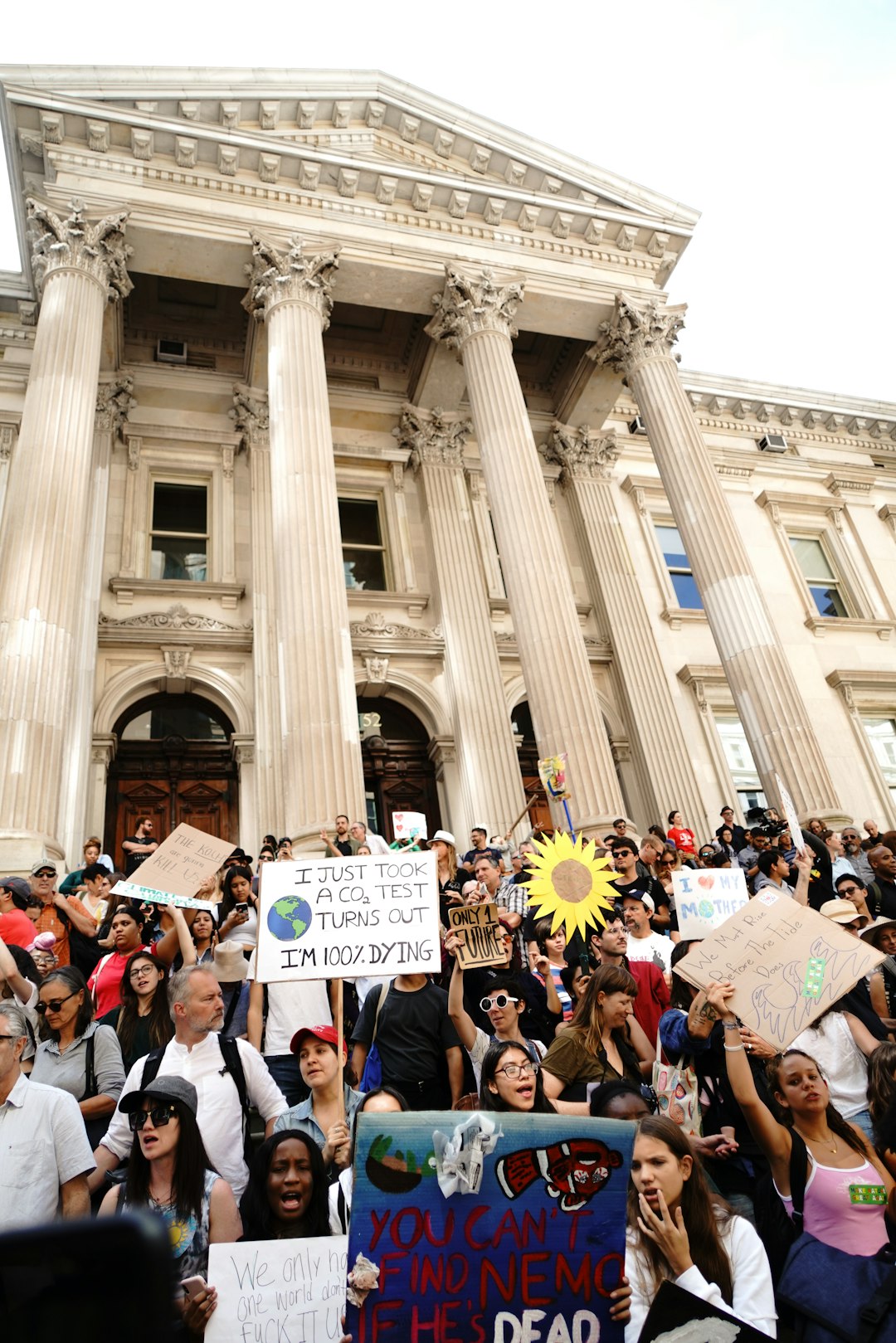 What This Means for Climate Policy Moving Forward (image credits: unsplash)