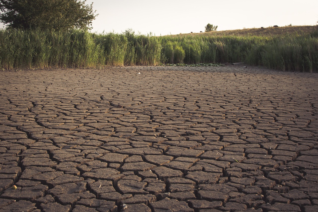 3. Drought and Water Scarcity (image credits: pixabay)