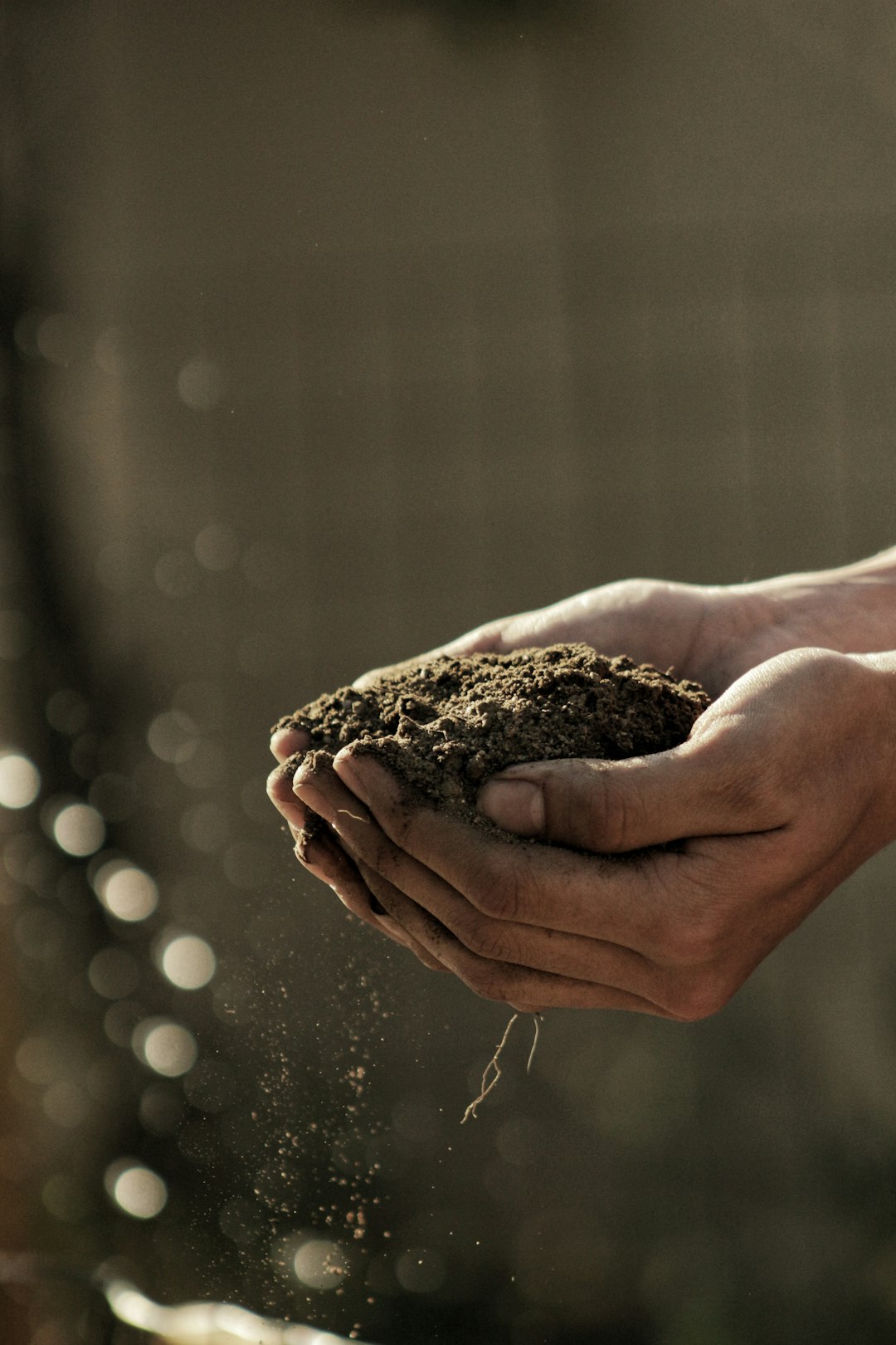 Diverse Soil Microbes Improve Climate Adaptation 🌱