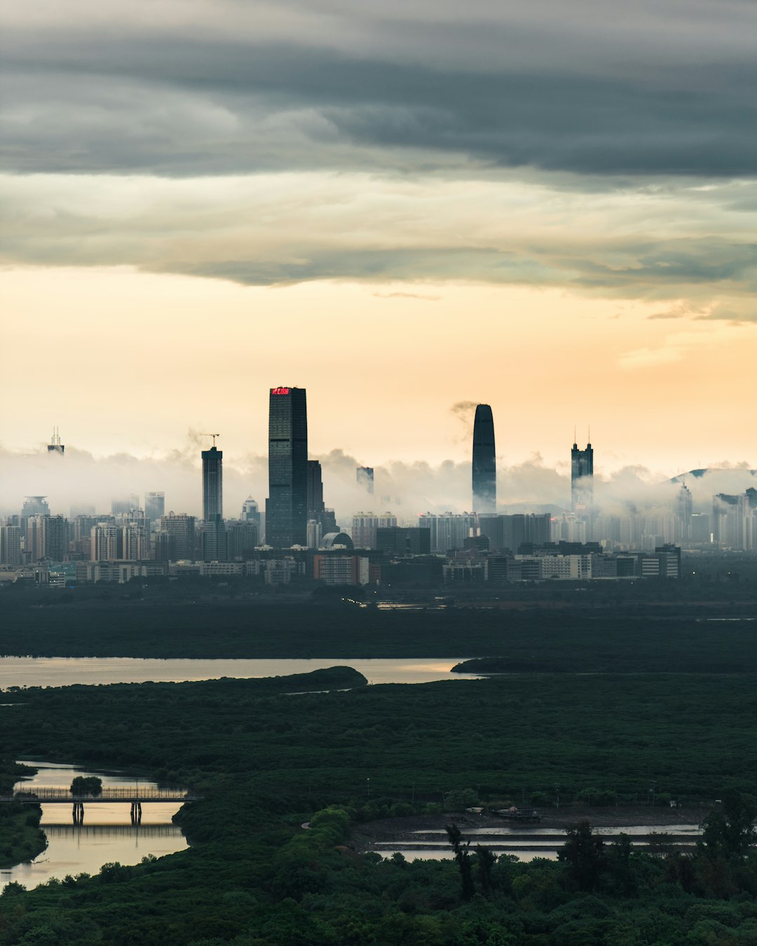 The Future of Urban Wetlands (image credits: unsplash)