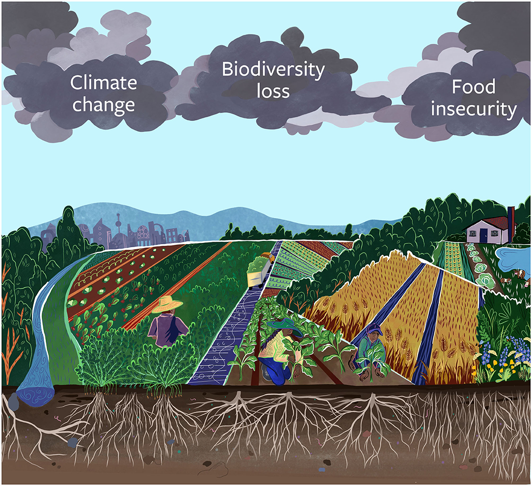 Shifting Habitats and Biodiversity Loss (image credits: wikimedia)