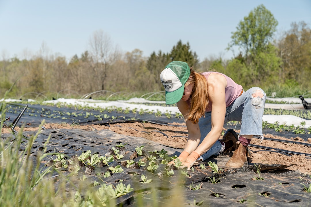 Regenerative Farming Can Boost Yields Over Time 📈