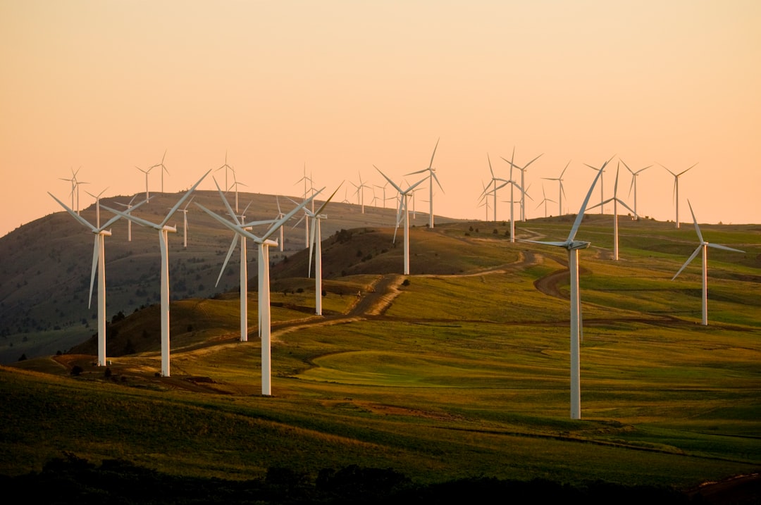 Wind Farms Require More Land, But Less Rooftop Space 🌾