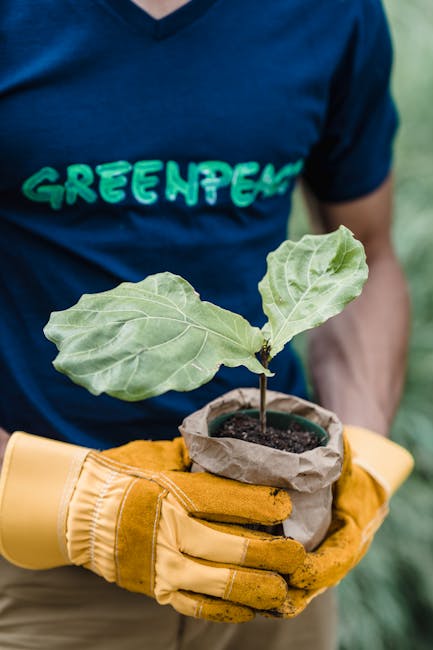 Global Initiatives and Agreements (image credits: pexels)