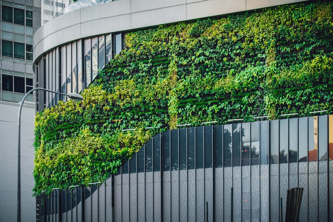 Singapore: Green Building Standards