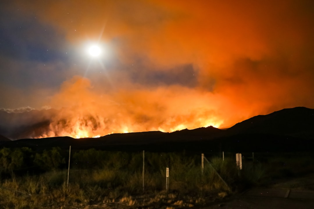 California’s Record-Breaking Wildfires (image credits: unsplash)