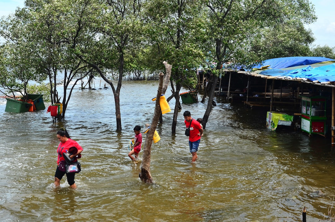 Rising Sea Levels and Coastal Impacts (image credits: unsplash)