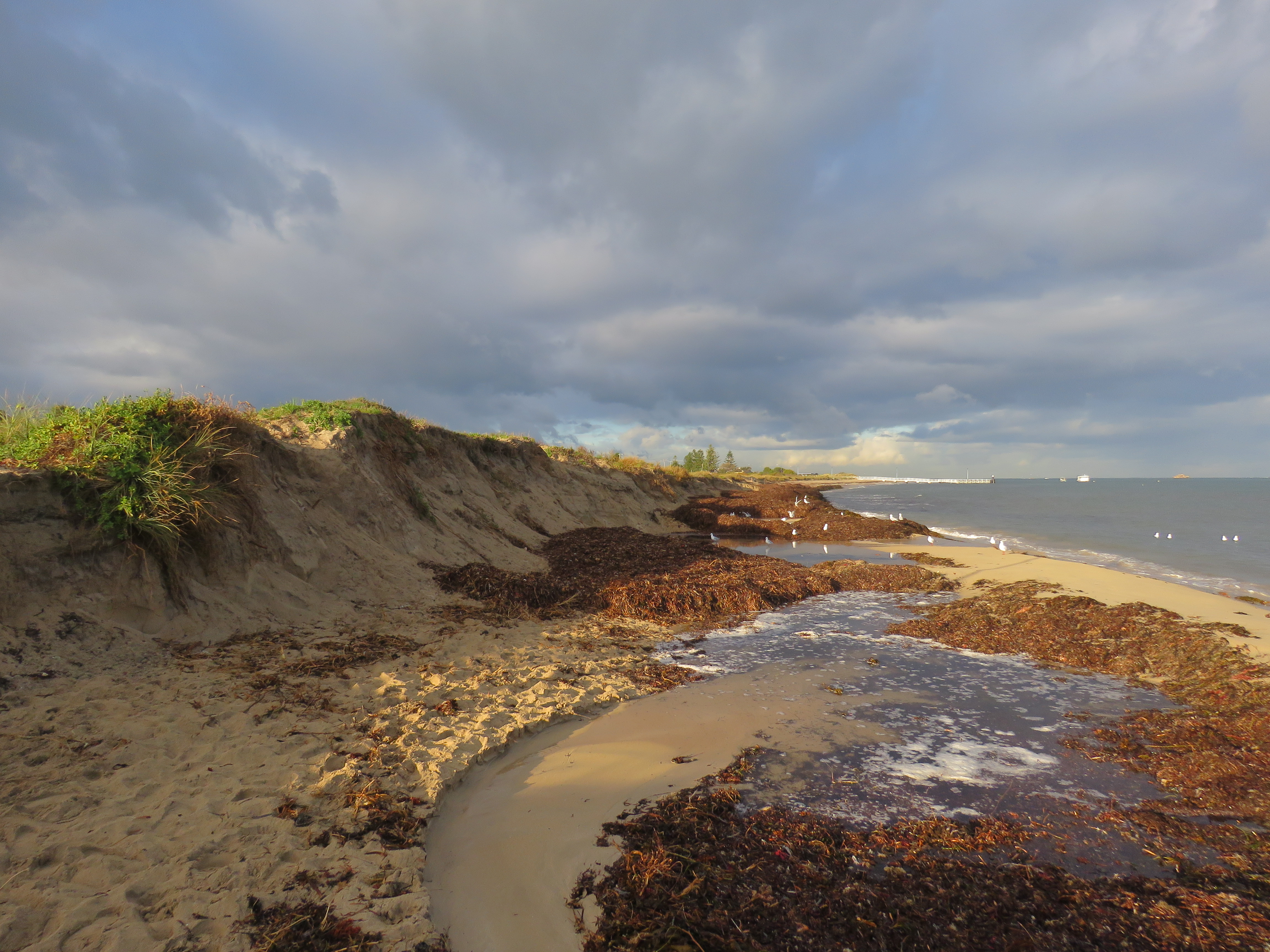 Threat to Iconic Beaches (image credits: wikimedia)