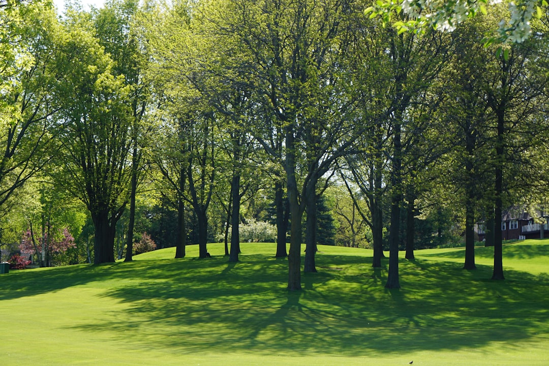 Istanbul: Expanding Public Green Spaces