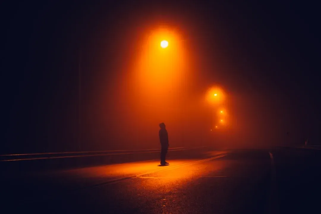 From Savannah to Suburbs: Ancient Fears in Modern Spaces (Image Credits: Unsplash)