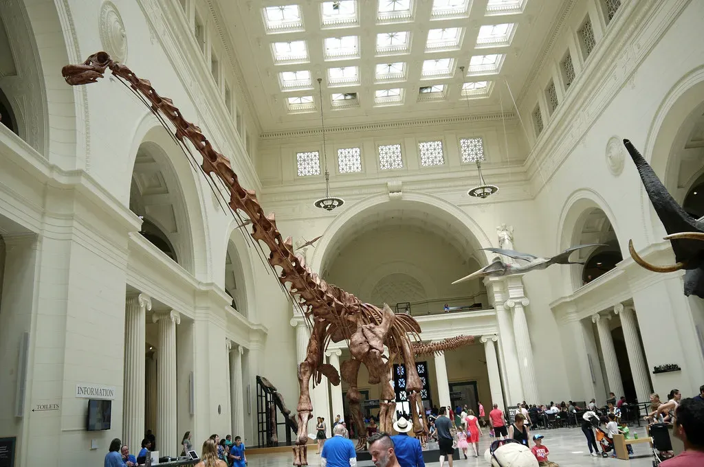 Patagotitan Mayorum: The Largest Animal to Ever Walk the Earth (Image Credits: Flickr)