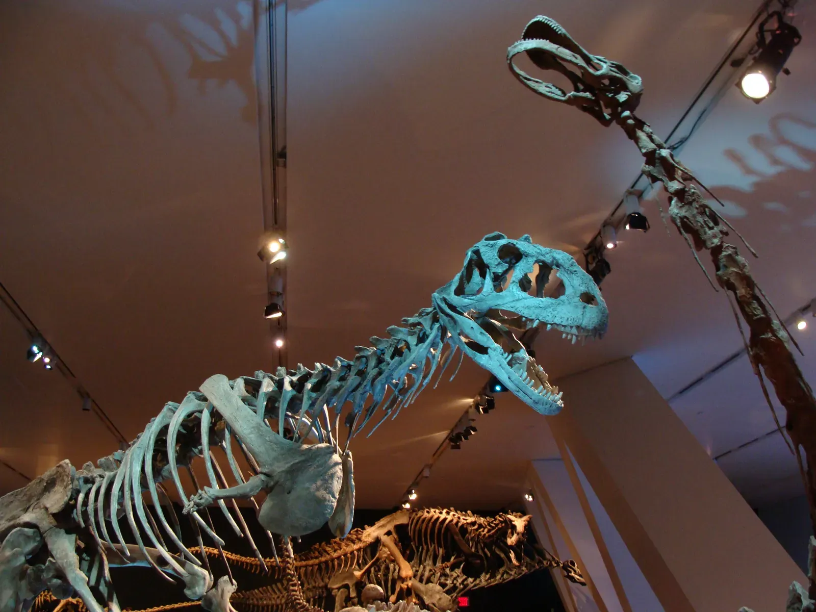 What Majungasaurus Cannibalism Tells Us About Dinosaur Life (By Eduard Solà, CC BY-SA 3.0)