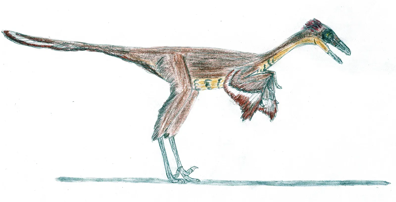 7. Troodon – The Smart, Slender Night Runner (By El fosilmaníaco, CC BY-SA 3.0)