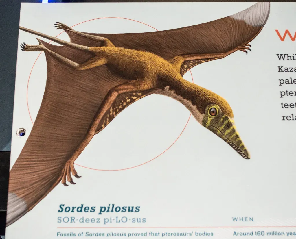 #13 - Sordes Pilosus, the "Furry Devil" That Rewrote the Textbooks (Tim Evanson, Flickr, CC BY-SA 2.0)