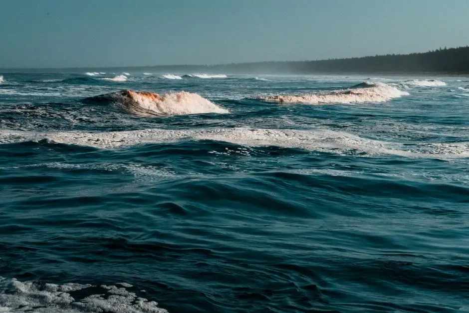 Oceans Without Oxygen: The Ancient Seas That Could Suffocate You (Image Credits: Pexels)