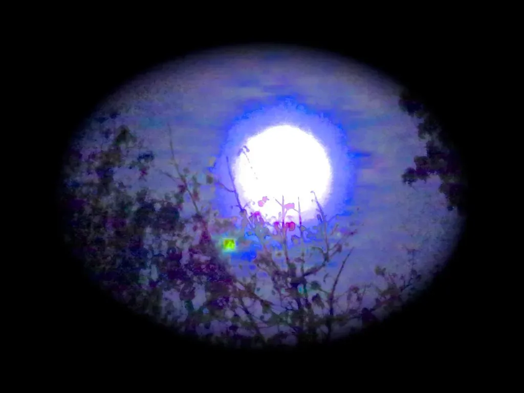 Moon Trine Neptune: Your Intuitive Depths (Image Credits: Flickr)