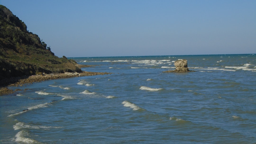 The Convergent Harmonizer - Meeting Current Personalities (Image Credits: Unsplash)