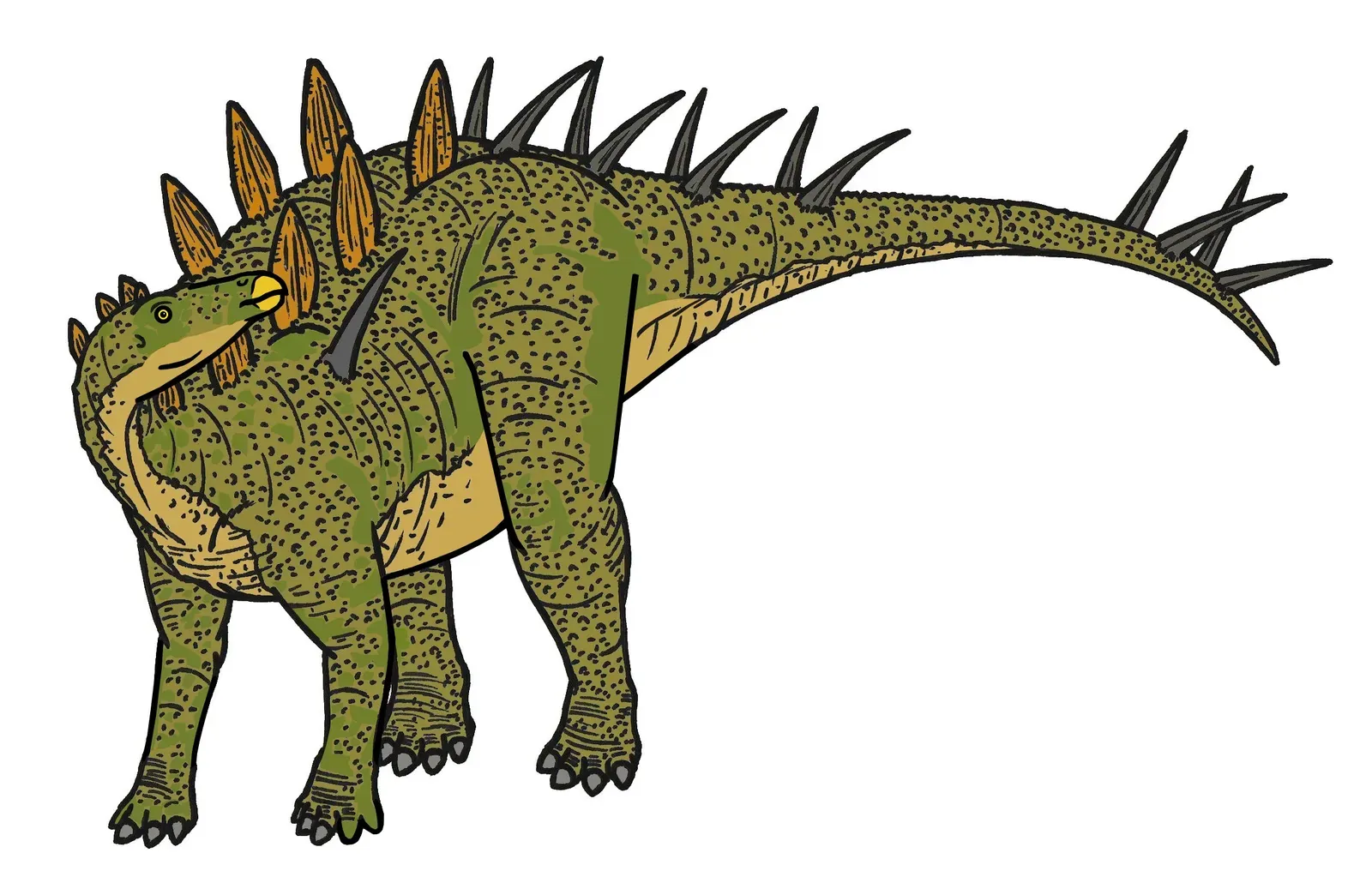 Kentrosaurus: The Smaller Stegosaur That Hit Above Its Weight (By Conty, CC BY-SA 4.0)