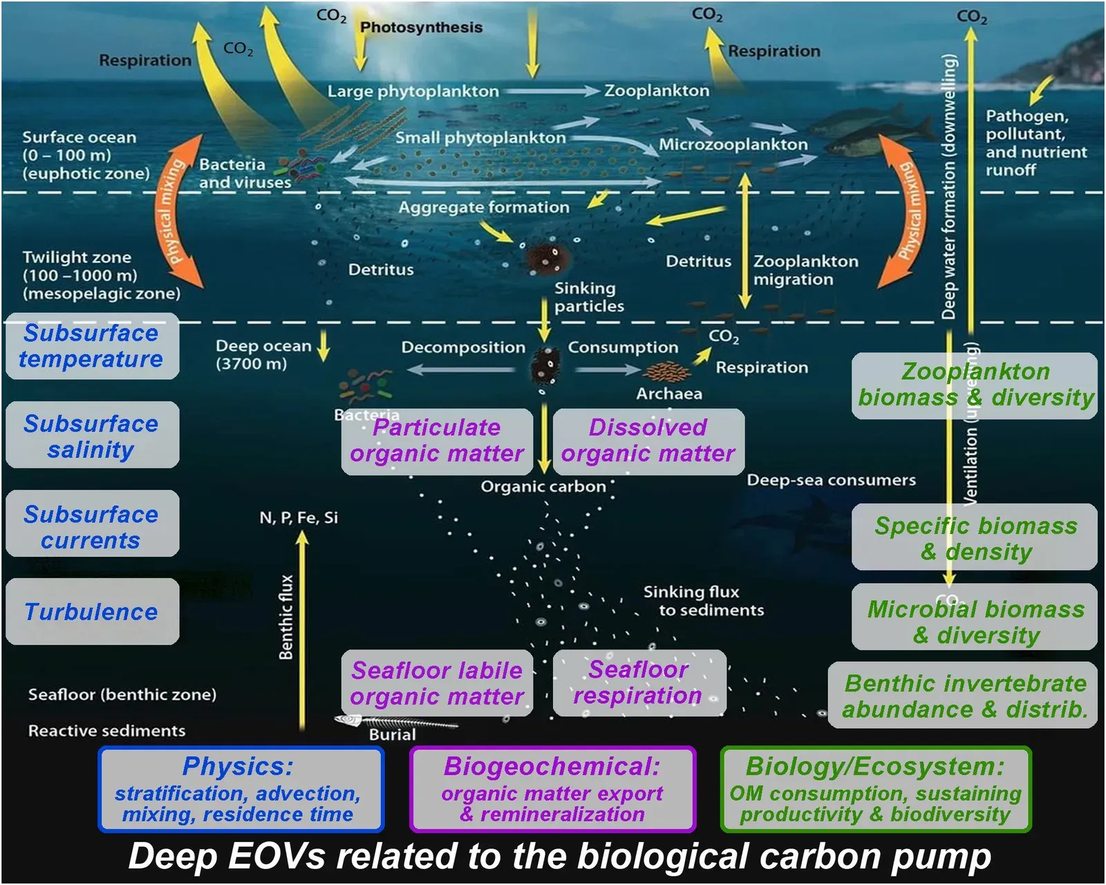 #6 - There's a Hidden Biosphere Living Beneath the Seafloor Itself ([1]doi:10.3389/fmars.2019.00241, CC BY-SA 4.0)