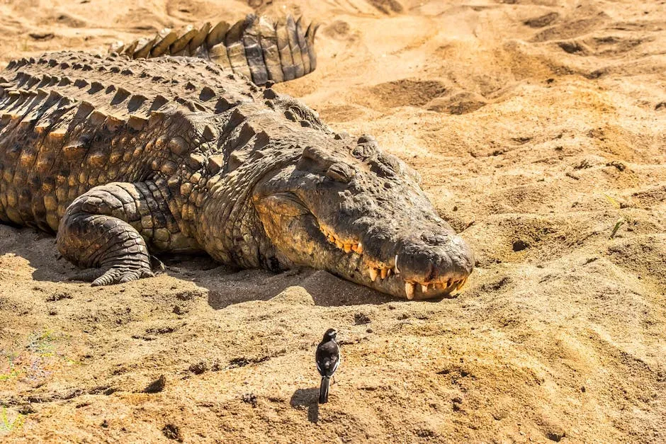 Birds, Crocodiles, and What They Teach You About Dinosaur “Songs” (Image Credits: Pexels)