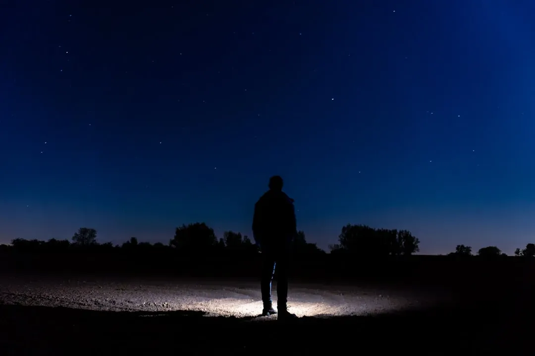 Conclusion (Image Credits: Unsplash)