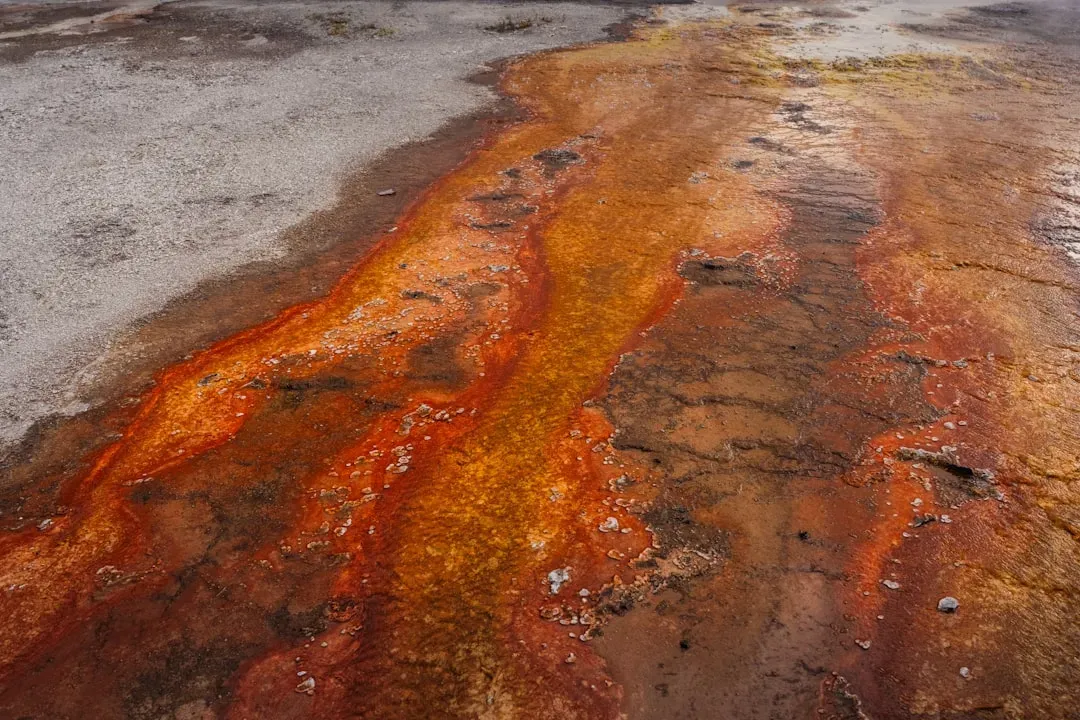 Microbial Mats: The Planet's Original Ecosystem Engineers (Image Credits: Unsplash)