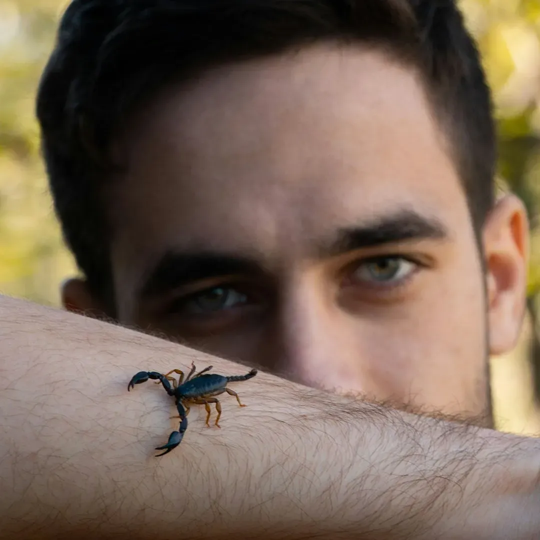 Revenge, Grudges, and the Scorpio Memory (Image Credits: Unsplash)