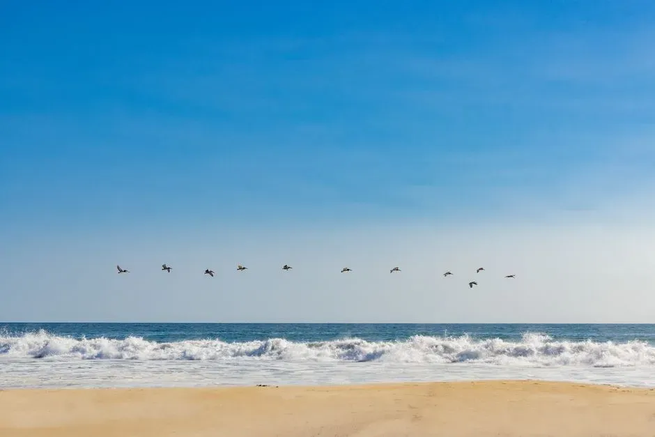 Ice, Oceans, And Coastlines: Rethinking How People Actually Got Here (Image Credits: Pexels)