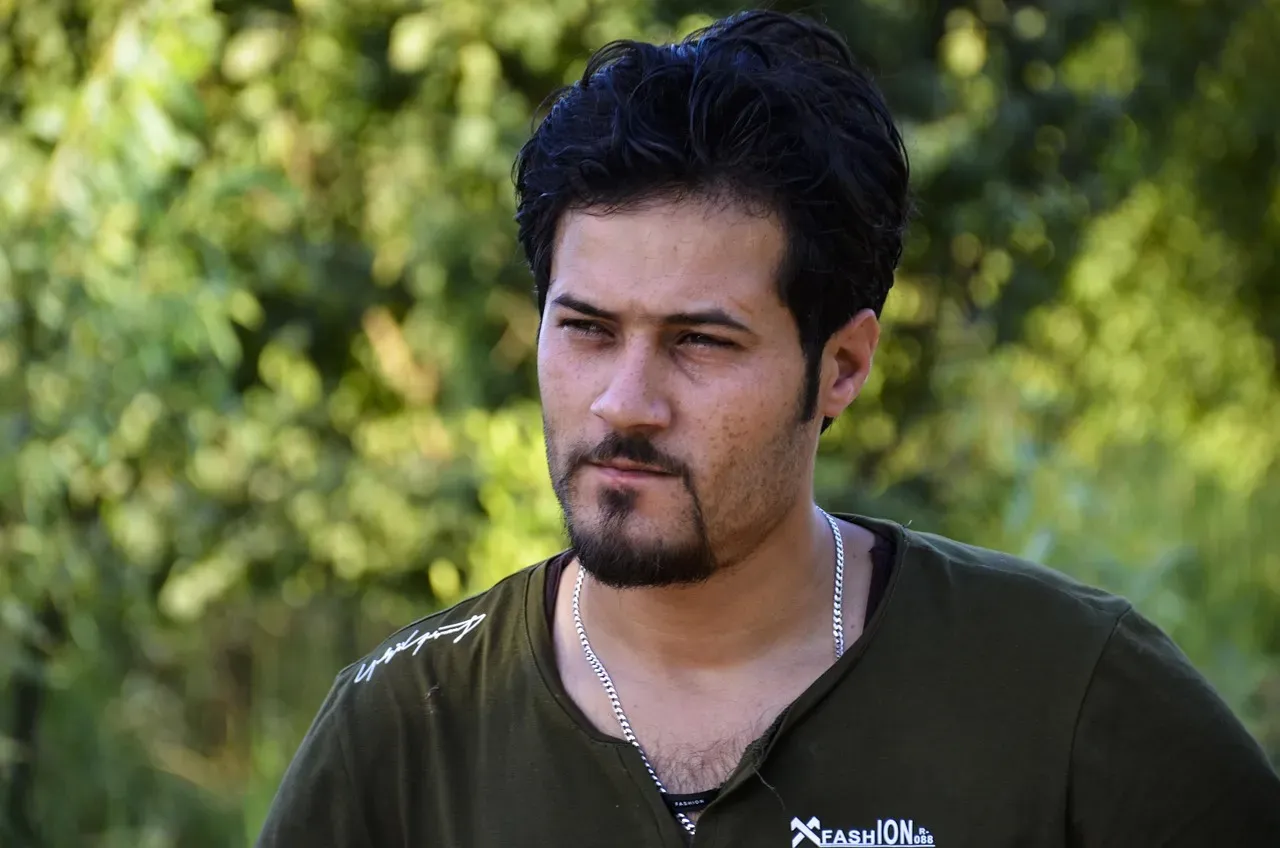 Stubbornness as Unwavering Determination (Image Credits: Pixabay)