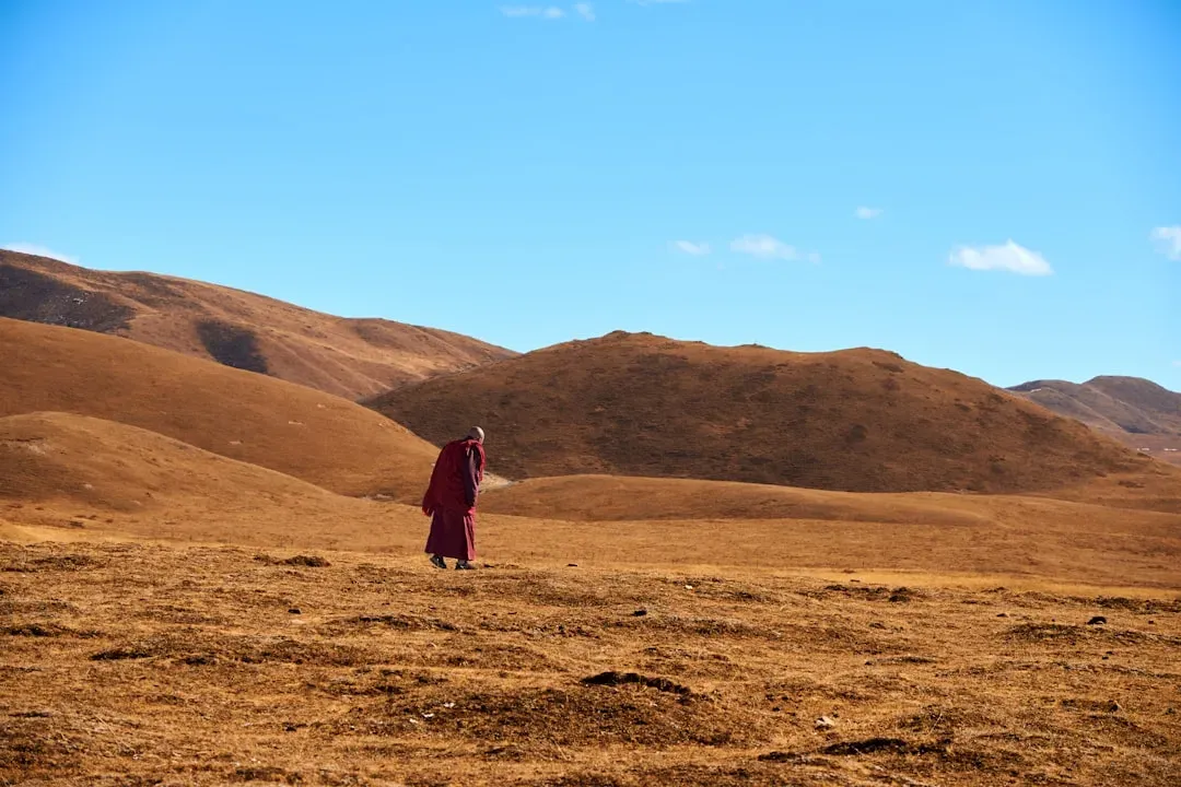 Conclusion: Walking Through the Inner Wilderness (Image Credits: Unsplash)