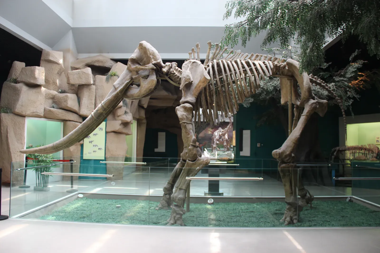 #19 - The "Missourium" Was a Mastodon With Extra Bones Bolted On (Giant Mastodon Skeleton, CC0)