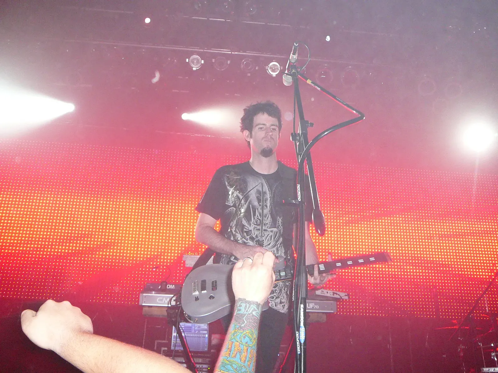 Leo: The Spotlight Seeker (Image Credits: Wikimedia)