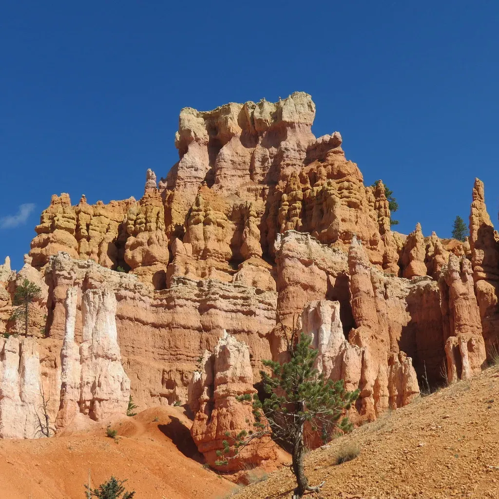 Conclusion: Reading the Rocks (Image Credits: Flickr)