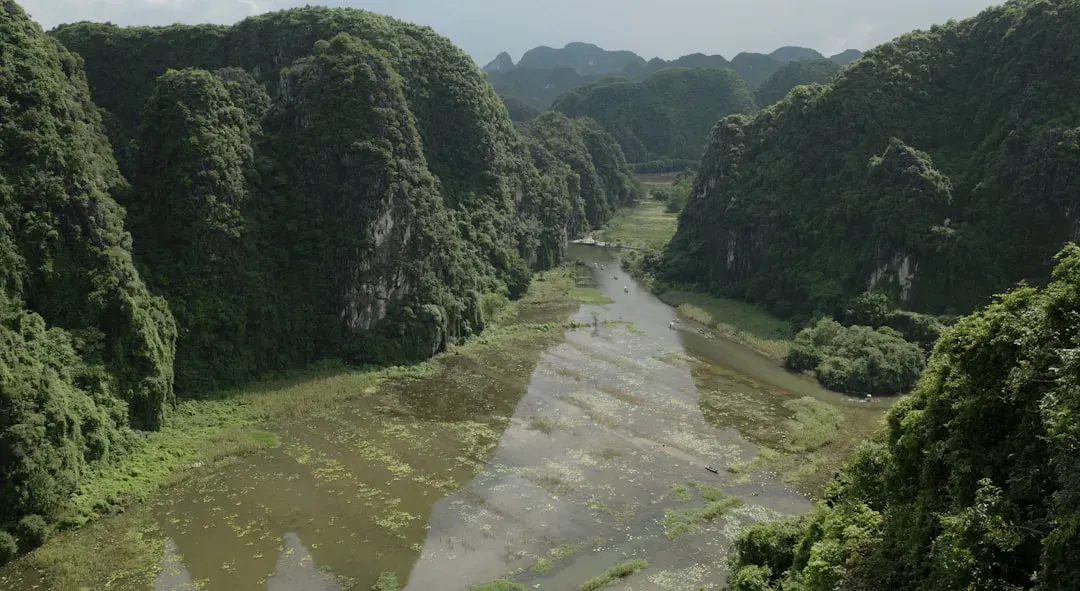 Human Hunters Followed the Same Rivers (Image Credits: Unsplash)