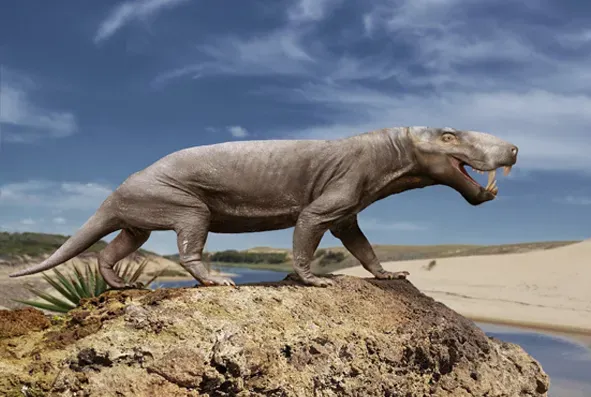 4. Inostrancevia: The Saber-Toothed Terror of the Permian (Image Credits: Wikimedia)